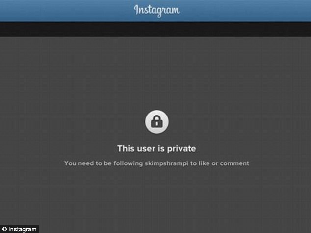 Can You View Private Instagram Pictures
